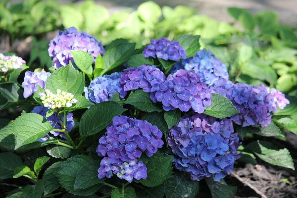 Découvrez le meilleur spécialiste du façonnage de la pierre en loire-atlantique