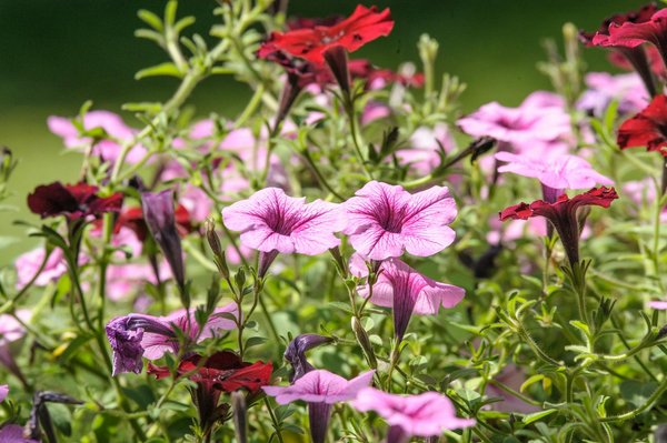 Trouvez l'entreprise de plomberie idéale à lausanne !